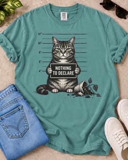 Nothing to Declare T-Shirt